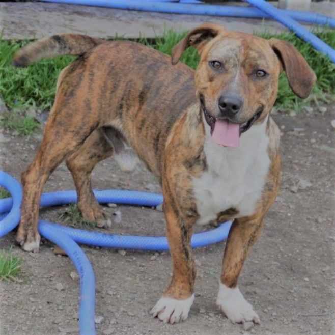 61105174 670950790023327 7793960131372253184 N