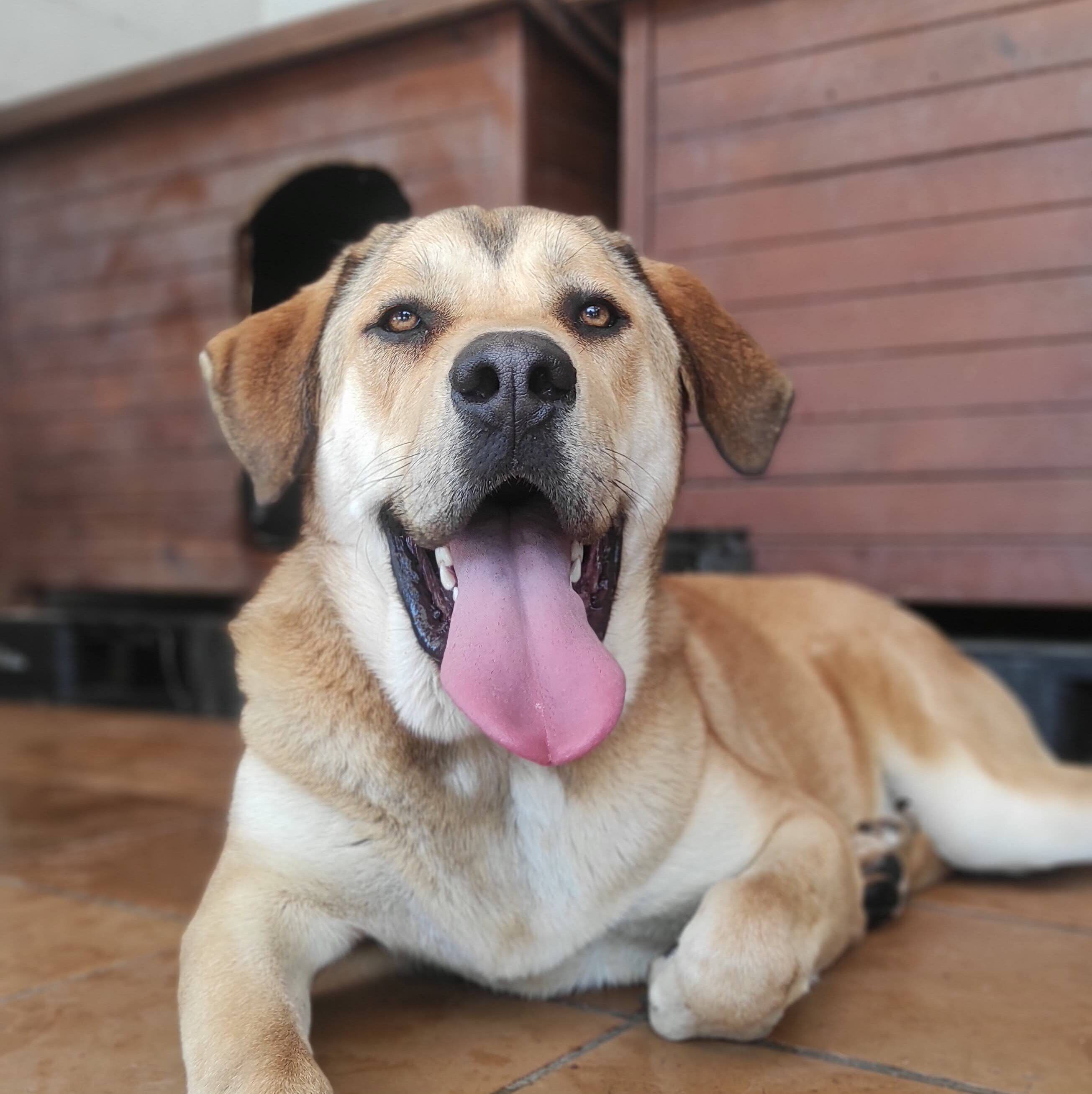 Img 20250628 123043 (1)