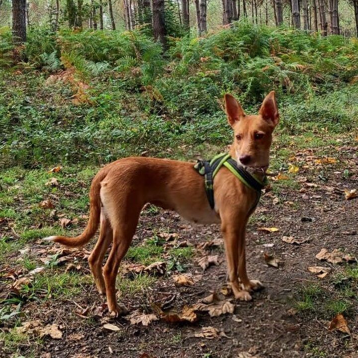 Imagen De Whatsapp 2025 10 02 A Las 22.23.43 4d96f5c0