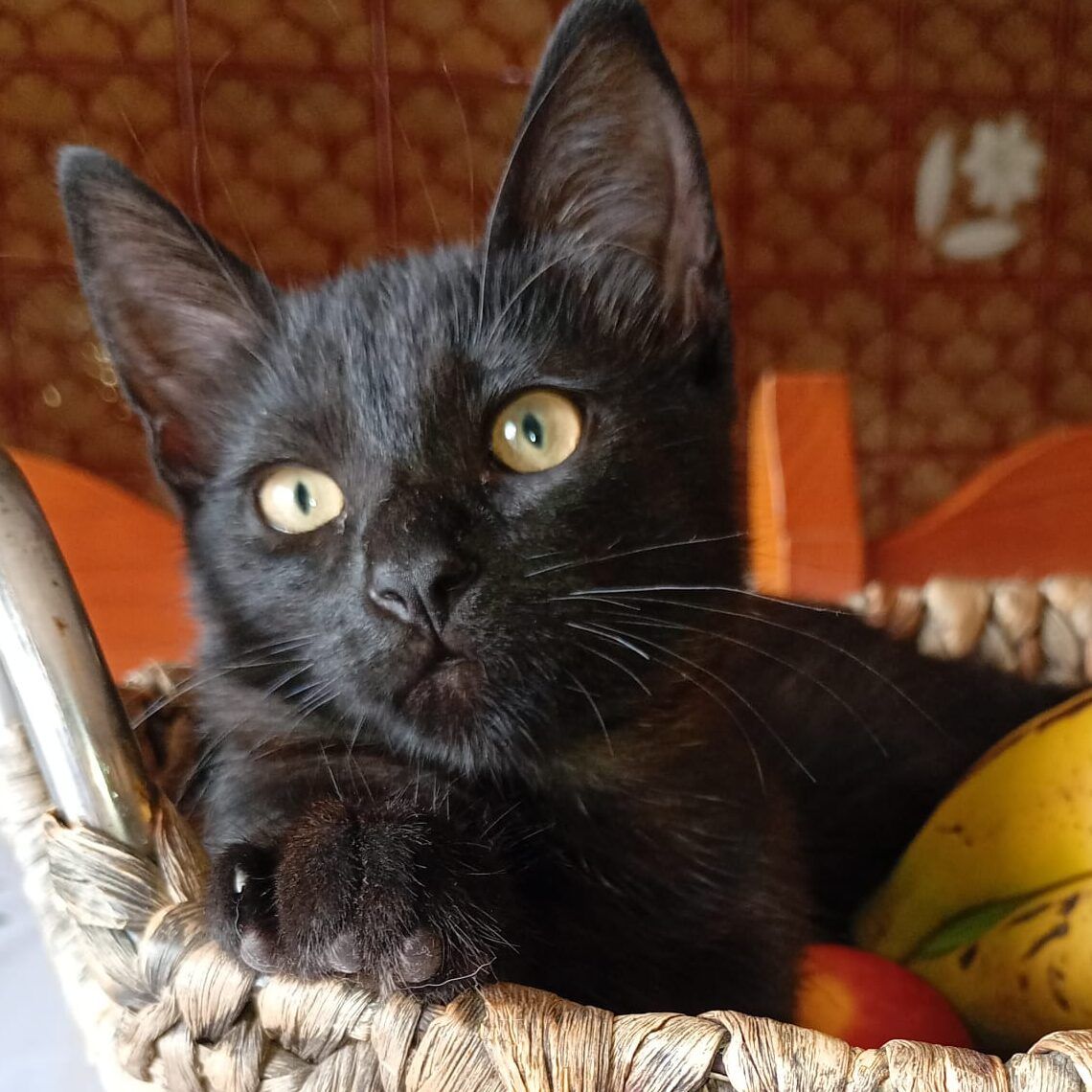 Imagen De Whatsapp 2025 09 27 A Las 18.35.59 C6170010