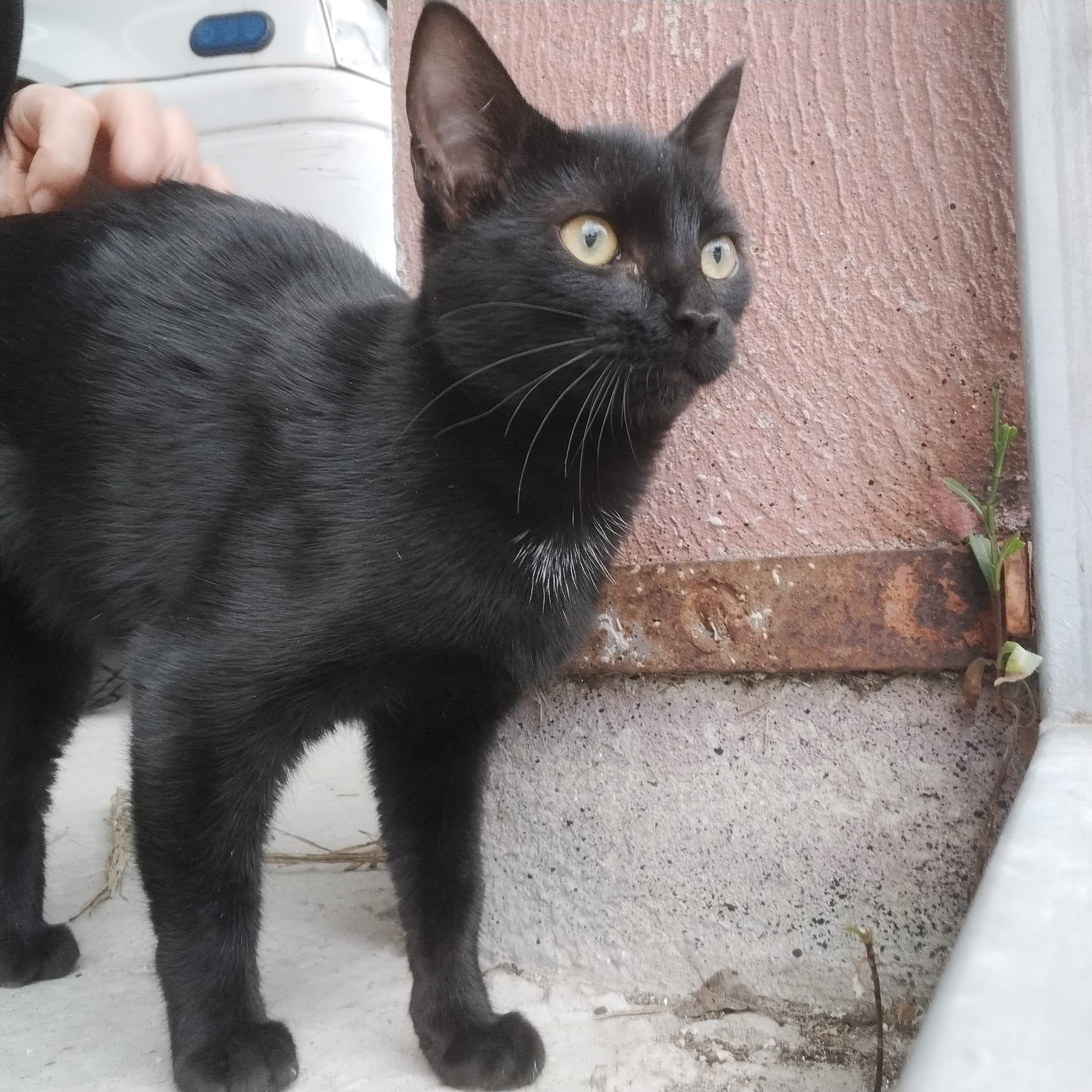 Imagen De Whatsapp 2025 10 08 A Las 07.27.39 92430e7c