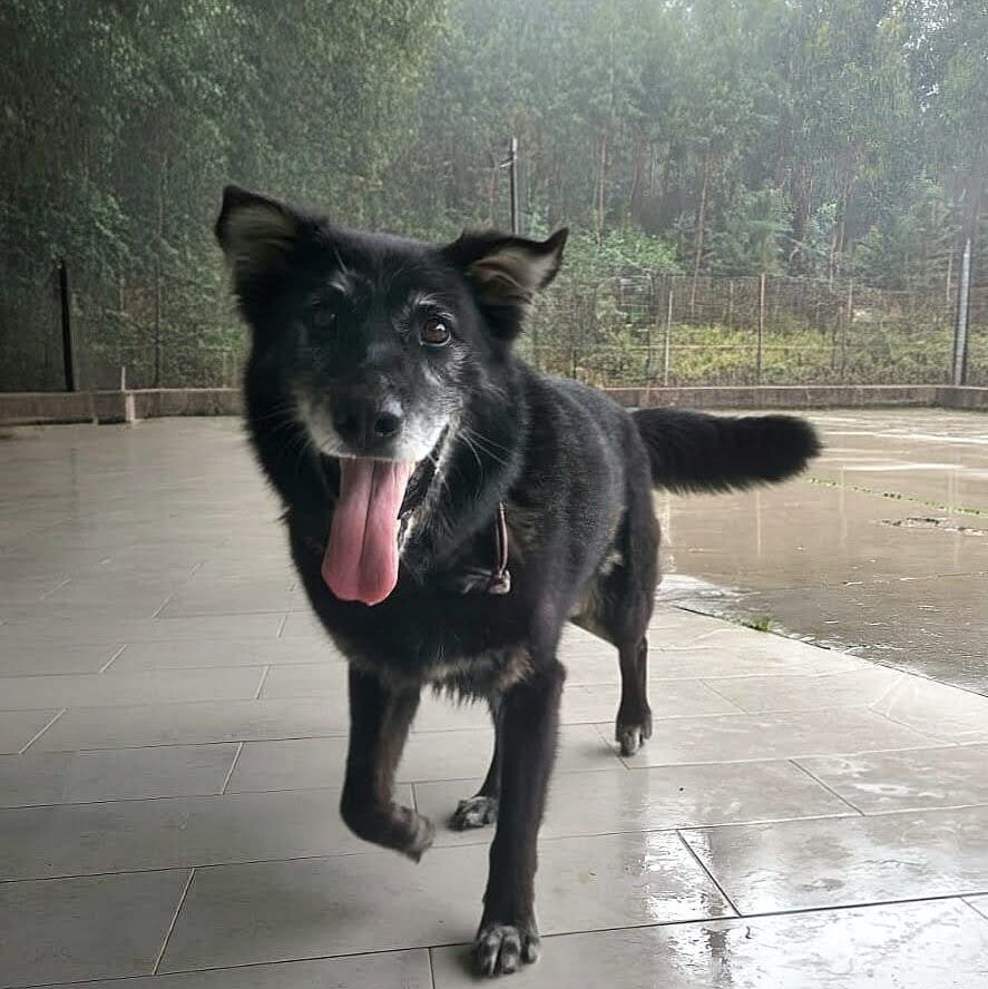 Imagen De Whatsapp 2025 10 04 A Las 13.46.32 2ae29fe7