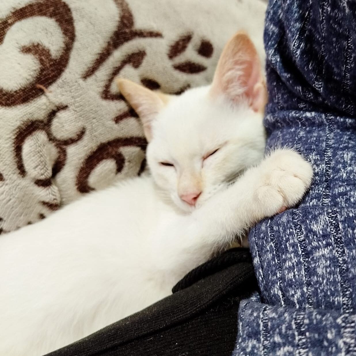 Imagen De Whatsapp 2025 09 23 A Las 19.39.29 8aa52f1a