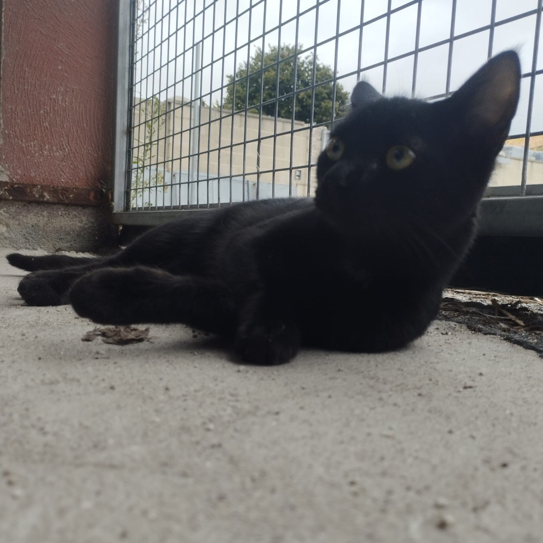 Imagen De Whatsapp 2025 10 09 A Las 23.42.32 31220093