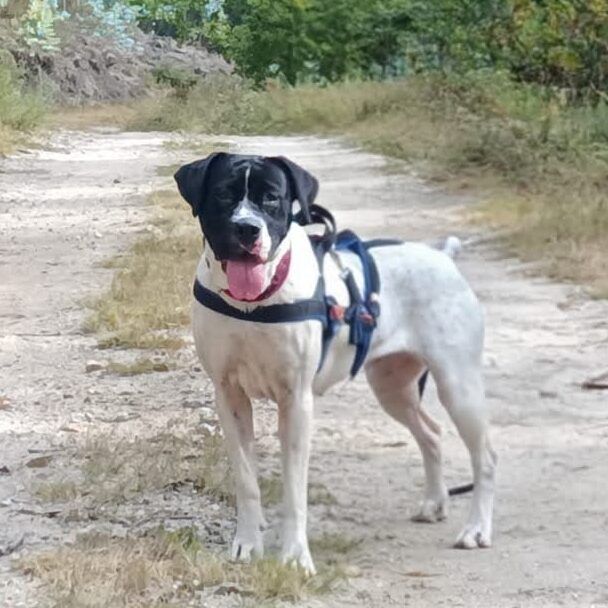 Imagen De Whatsapp 2025 10 02 A Las 22.32.50 58112701