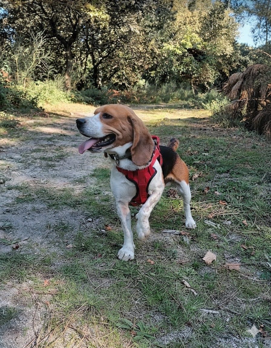 Gemini Generated Image Rwp5j0rwp5j0rwp5 (1)