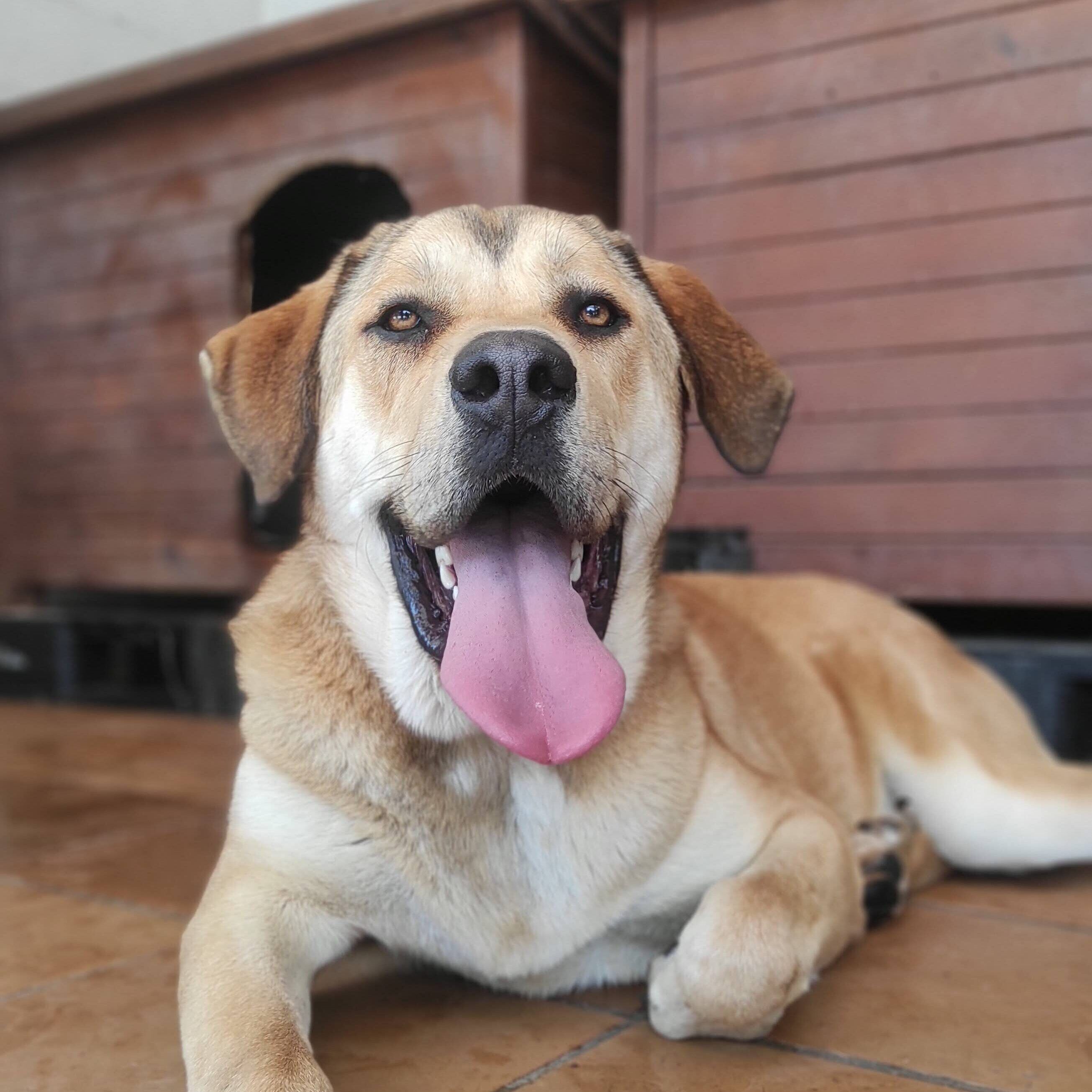 Img 20250628 123043 (1)