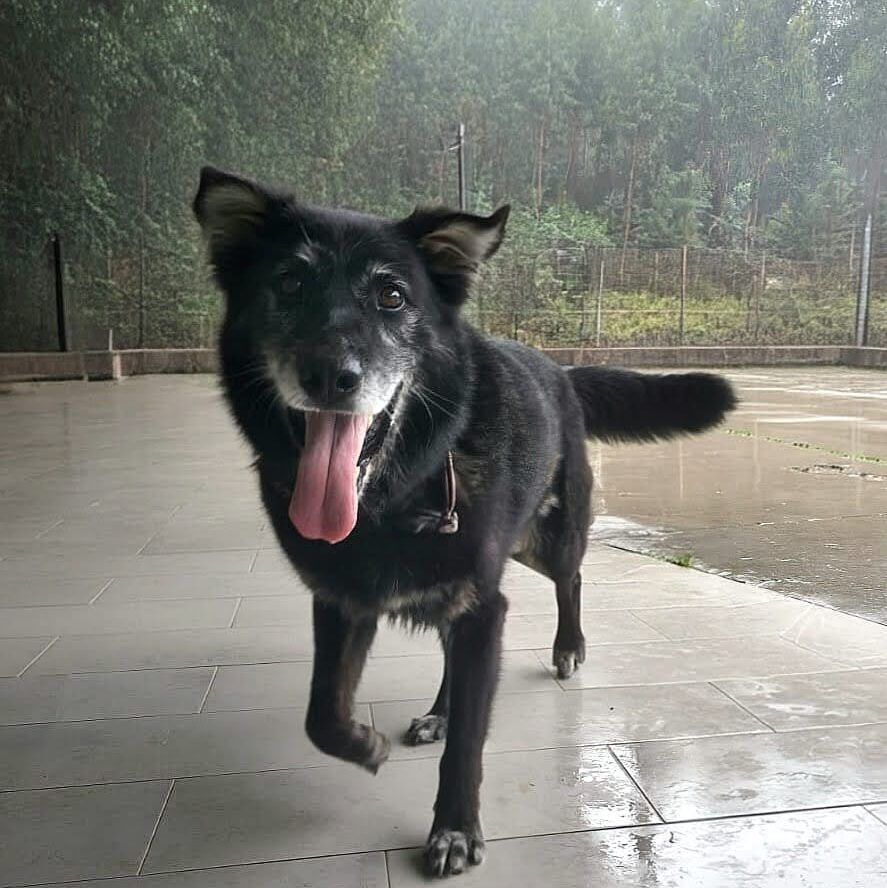 Imagen De Whatsapp 2025 10 04 A Las 13.46.32 2ae29fe7