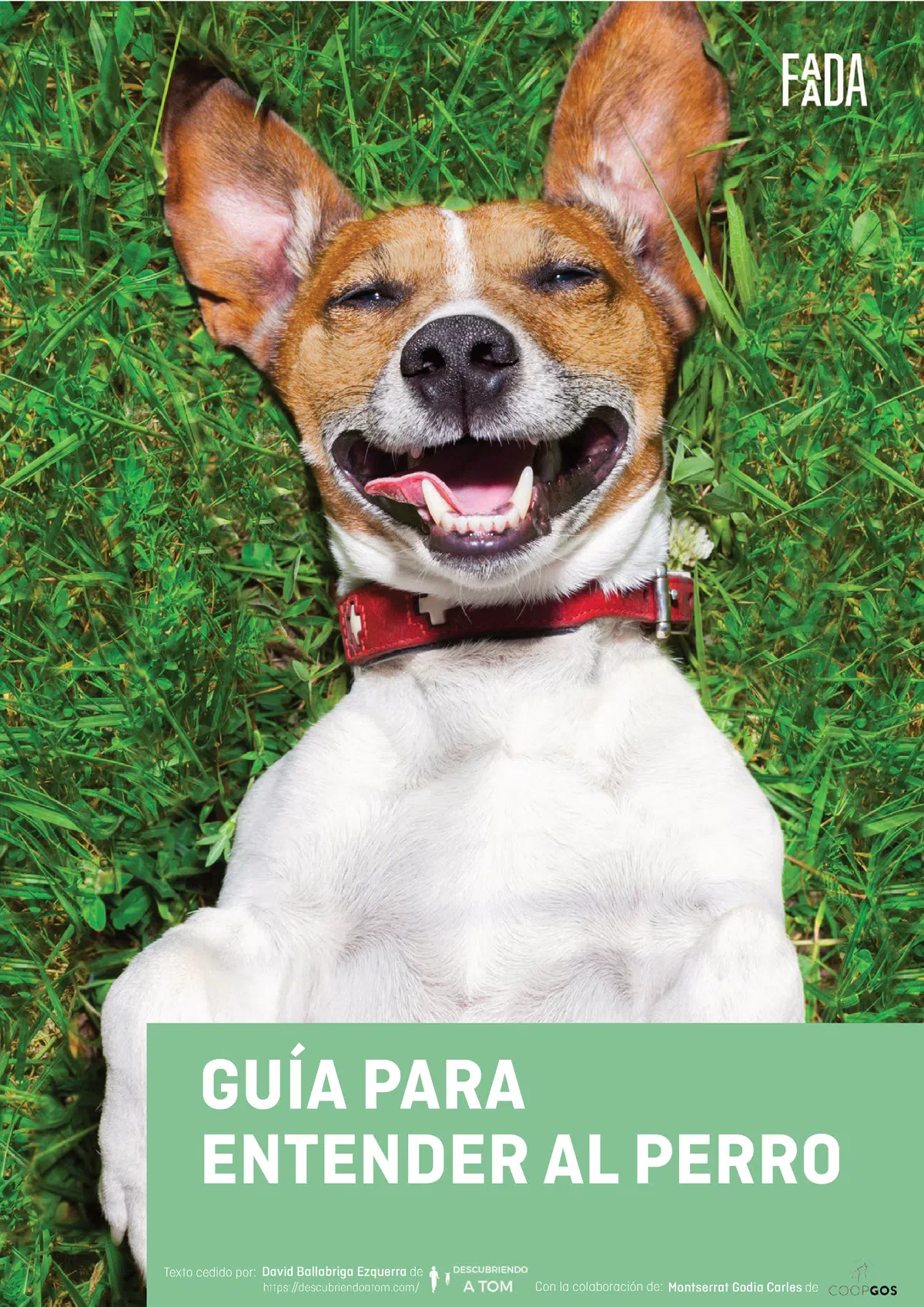 Guia Faada Entender Al Perro