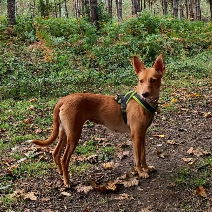 Imagen De Whatsapp 2025 10 02 A Las 22.23.43 4d96f5c0