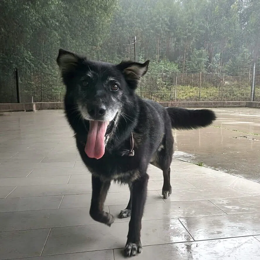 Imagen De Whatsapp 2025 10 04 A Las 13.46.32 2ae29fe7