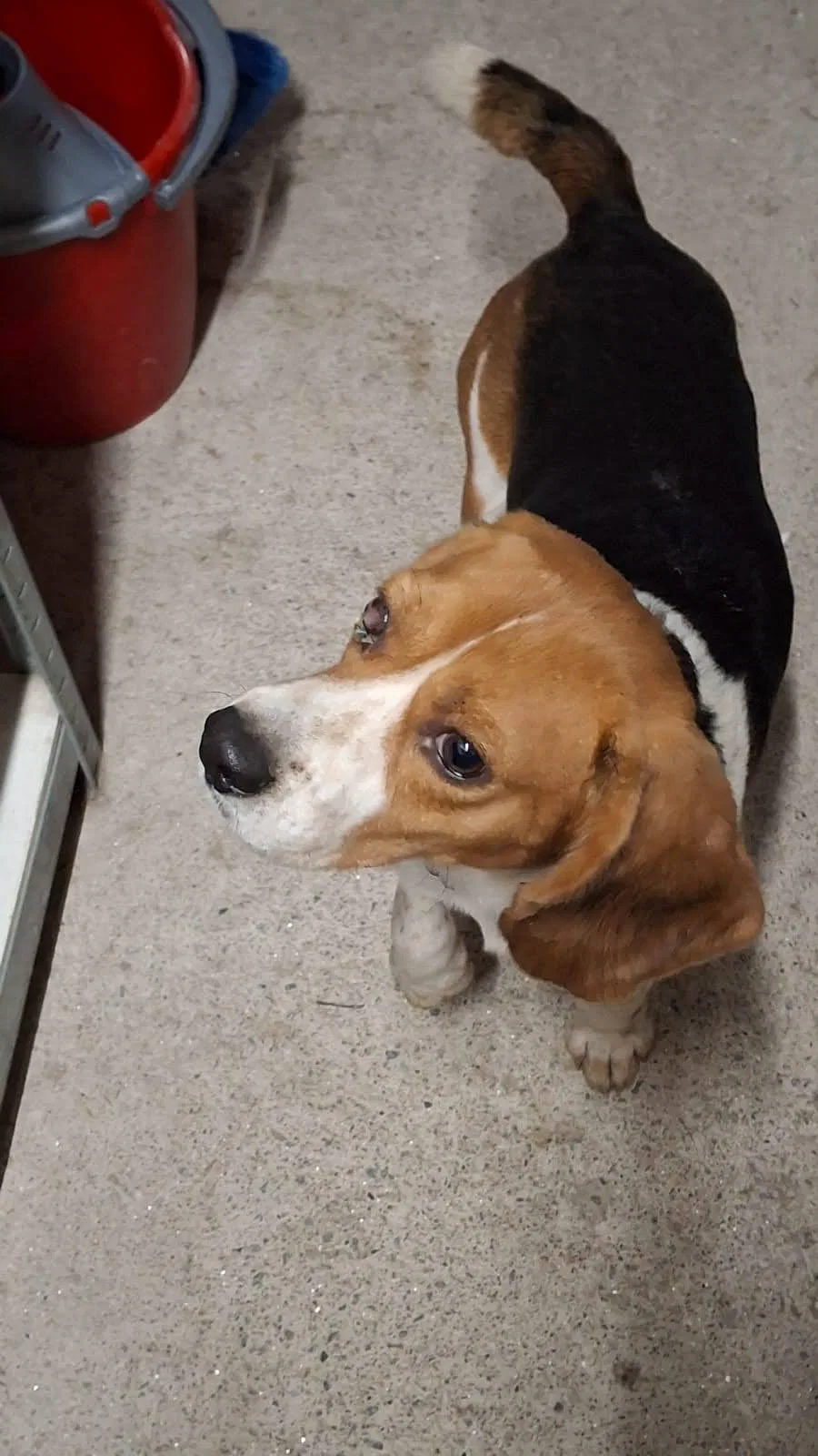 Imagen De Whatsapp 2025 10 19 A Las 22.12.30 6dfd9c5b