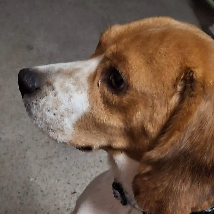 Imagen De Whatsapp 2025 10 19 A Las 22.12.31 487af8f2