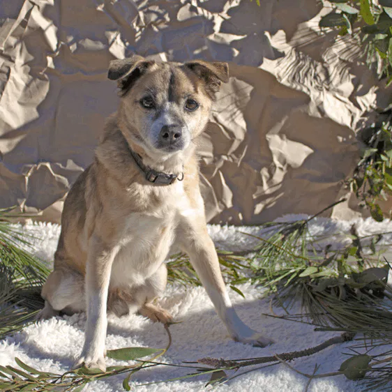 Captura De Pantalla 2025 10 17 230108